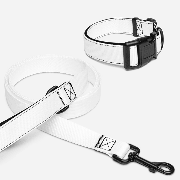 Pet Collar & Leash
